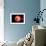 An Alien Planet and its Moon in Orbit around a Red Giant Star-null-Framed Art Print displayed on a wall