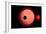 An Alien Planet and its Moon in Orbit around a Red Giant Star-null-Framed Art Print