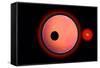 An Alien Planet and its Moon in Orbit around a Red Giant Star-null-Framed Stretched Canvas