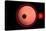 An Alien Planet and its Moon in Orbit around a Red Giant Star-null-Stretched Canvas