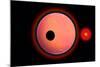An Alien Planet and its Moon in Orbit around a Red Giant Star-null-Mounted Premium Giclee Print