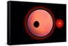 An Alien Planet and its Moon in Orbit around a Red Giant Star-null-Framed Stretched Canvas