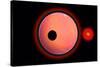 An Alien Planet and its Moon in Orbit around a Red Giant Star-null-Stretched Canvas