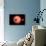 An Alien Planet and its Moon in Orbit around a Red Giant Star-null-Mounted Art Print displayed on a wall