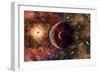 An Alien Planet and its Moon in Orbit around a Red Giant Star-null-Framed Art Print