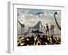 An Alien World Where Reptoid Beings Co-Exist with Dinosaurs-Stocktrek Images-Framed Photographic Print