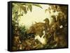 An Allegory of Africa-Alexandre-Francois Desportes-Framed Stretched Canvas