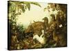 An Allegory of Africa-Alexandre-Francois Desportes-Stretched Canvas