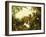 An Allegory of Africa-Alexandre-Francois Desportes-Framed Giclee Print