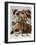 An Allegory of Air-Giuseppe Arcimboldo-Framed Giclee Print