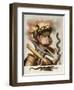 An Allegory of Fire-Giuseppe Arcimboldo-Framed Giclee Print