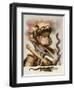 An Allegory of Fire-Giuseppe Arcimboldo-Framed Giclee Print