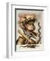 An Allegory of Fire-Giuseppe Arcimboldo-Framed Giclee Print