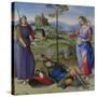 An Allegory (Vision of a Knigh), C. 1504-Raphael-Stretched Canvas