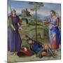 An Allegory (Vision of a Knigh), C. 1504-Raphael-Mounted Giclee Print