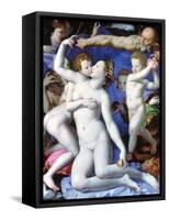 An Allegory with Venus and Cupid, C1523-1568-Agnolo Bronzino-Framed Stretched Canvas