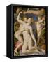 An Allegory with Venus and Cupid, circa 1540-50-Agnolo Bronzino-Framed Stretched Canvas