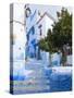 An Alleyway in the Medina, Chefchaouen, Morocco-A_nella-Stretched Canvas