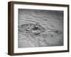 An Alligator Peers Above the Backwaters of Lafitte, Miss.-null-Framed Premium Photographic Print