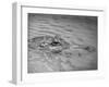 An Alligator Peers Above the Backwaters of Lafitte, Miss.-null-Framed Premium Photographic Print