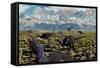 An Allosaurus Attacking a Herd of Camptosaurus Dinosaurs-null-Framed Stretched Canvas