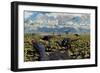 An Allosaurus Attacking a Herd of Camptosaurus Dinosaurs-null-Framed Premium Giclee Print