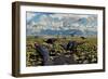 An Allosaurus Attacking a Herd of Camptosaurus Dinosaurs-null-Framed Art Print