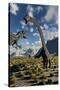 An Allosaurus Dinosaur Confronts a Pair of Diplodocus Dinosaurs-null-Stretched Canvas
