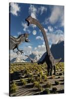 An Allosaurus Dinosaur Confronts a Pair of Diplodocus Dinosaurs-null-Stretched Canvas