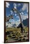 An Allosaurus Dinosaur Confronts a Pair of Diplodocus Dinosaurs-null-Framed Art Print