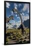 An Allosaurus Dinosaur Confronts a Pair of Diplodocus Dinosaurs-null-Framed Art Print