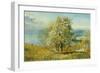 An Alpine Lake-John William Inchbold-Framed Giclee Print