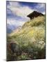 An Alpine Meadow, Switzerland-John MacWhirter-Mounted Giclee Print