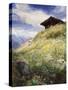 An Alpine Meadow, Switzerland-John MacWhirter-Stretched Canvas