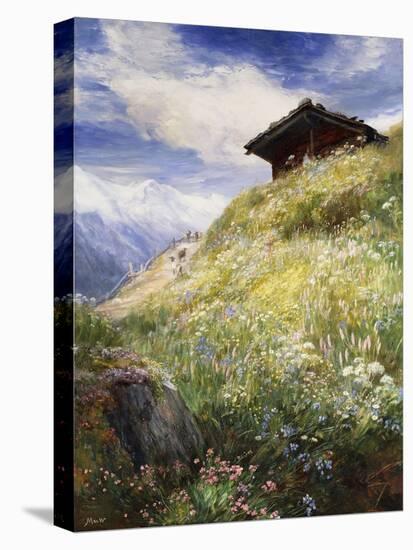 An Alpine Meadow, Switzerland-John MacWhirter-Stretched Canvas