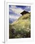 An Alpine Meadow, Switzerland-John MacWhirter-Framed Giclee Print