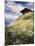 An Alpine Meadow, Switzerland-John MacWhirter-Mounted Giclee Print