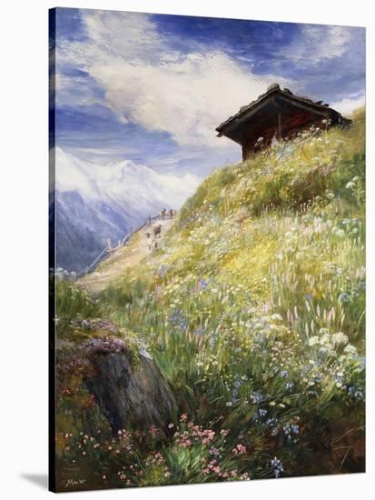 An Alpine Meadow, Switzerland-John MacWhirter-Stretched Canvas