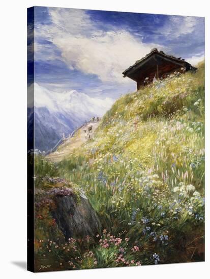 An Alpine Meadow, Switzerland-John MacWhirter-Stretched Canvas