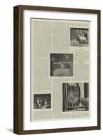 An Amateur Photographer at the Zoo-null-Framed Giclee Print