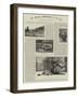 An Amateur Photographer at the Zoo-null-Framed Giclee Print