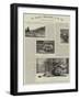 An Amateur Photographer at the Zoo-null-Framed Giclee Print