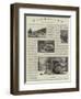 An Amateur Photographer at the Zoo-null-Framed Giclee Print