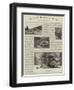 An Amateur Photographer at the Zoo-null-Framed Giclee Print