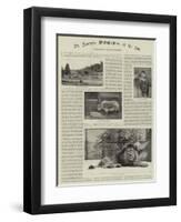 An Amateur Photographer at the Zoo-null-Framed Premium Giclee Print