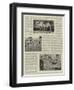 An Amateur Photographer at the Zoo-null-Framed Premium Giclee Print