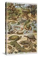 An Amazing Illustration Covering the Whole Range of Reptilian Species from Snakes to Newts-null-Stretched Canvas