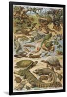 An Amazing Illustration Covering the Whole Range of Reptilian Species from Snakes to Newts-null-Framed Photographic Print