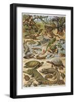 An Amazing Illustration Covering the Whole Range of Reptilian Species from Snakes to Newts-null-Framed Photographic Print