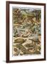 An Amazing Illustration Covering the Whole Range of Reptilian Species from Snakes to Newts-null-Framed Photographic Print